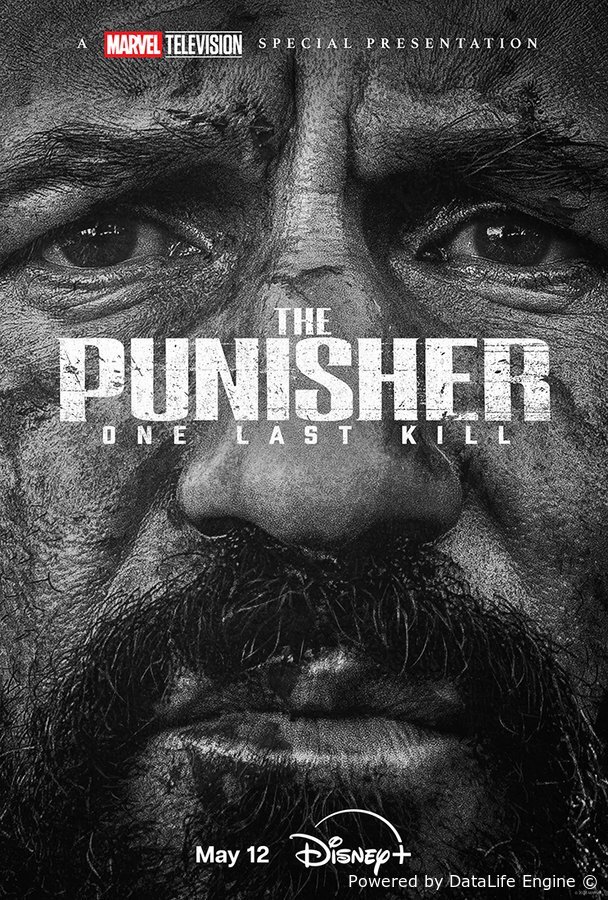 The Punisher: One Last Kill