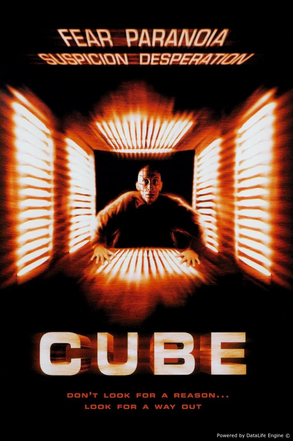 Cube